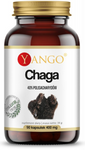 YANGO Chaga ekstrakt 10% polisacharydów 440mg 90 kapsułek