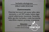 Dary Natury Ziele Karczocha herbatka ekologiczna 100% EKO 50g