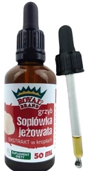 Royal Brand Lion's Mane ekstrakt soplówka jeżowata krople 50ml