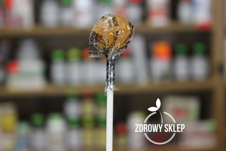 AlterNativa Lizak okrągły bezglutenowy FAIR TRADE bio MIX 1 szt.