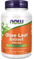 NOW FOODS Olive Leaf Liść oliwny Extract 500mg 120 kapsułek